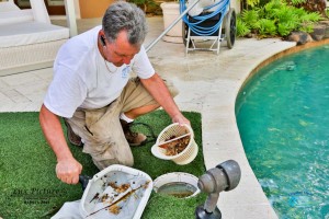 Expert Pool Service in Western Palm Beach County